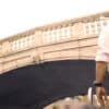 ディズニーリゾートの橋